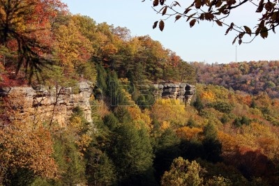6512193-fall-colors-on-the-cliffs-of-hocking-hills-ohio